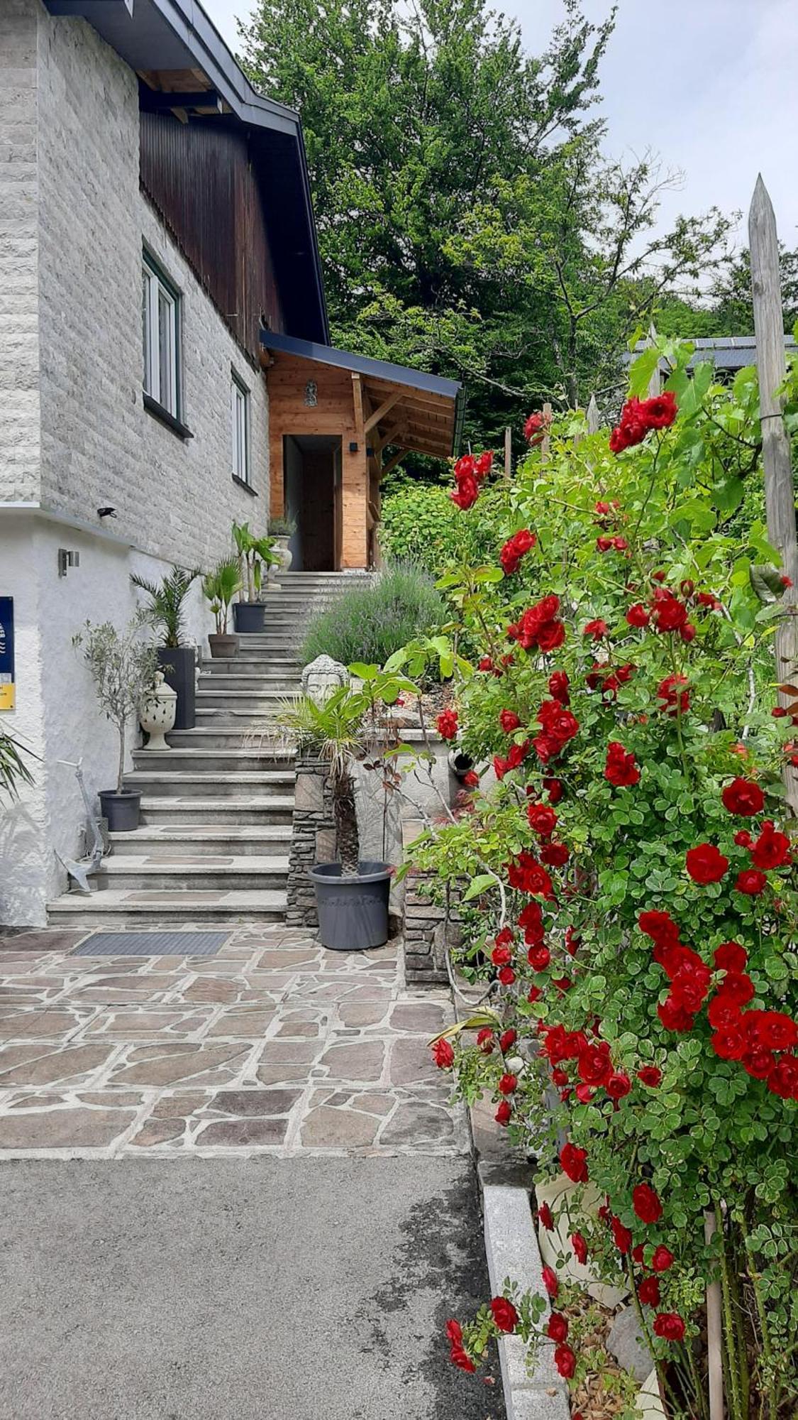Ferienhaus Goldener Anker Унтерах-ам-Аттерзе Экстерьер фото